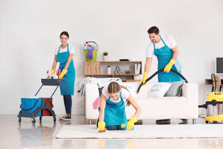 Upholstery Cleaning In Geelong